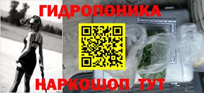 шишки Пыть-Ях