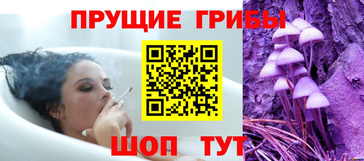 Галлюциногенные грибы Cubensis Тобольск