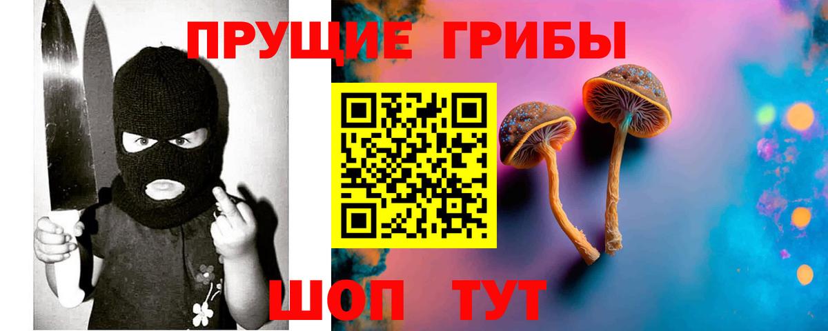 Псилоцибиновые грибы прущие грибы  Вход с VPN  Тобольск 